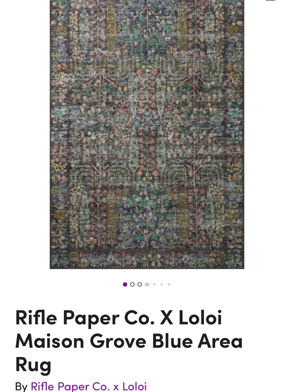 Rifle Paper Co. Blue Multicolor Botanical Area Rug